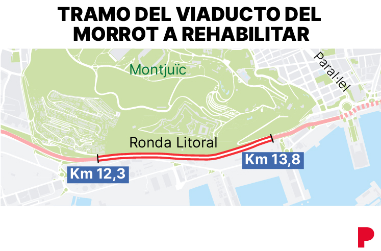 Imagen de un morro de un pez