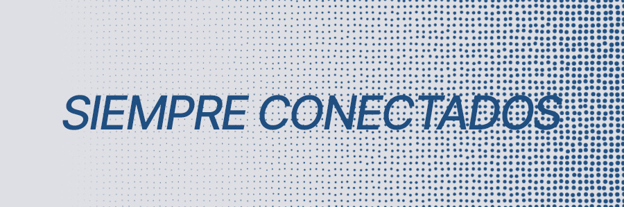 Descripción de la imagen