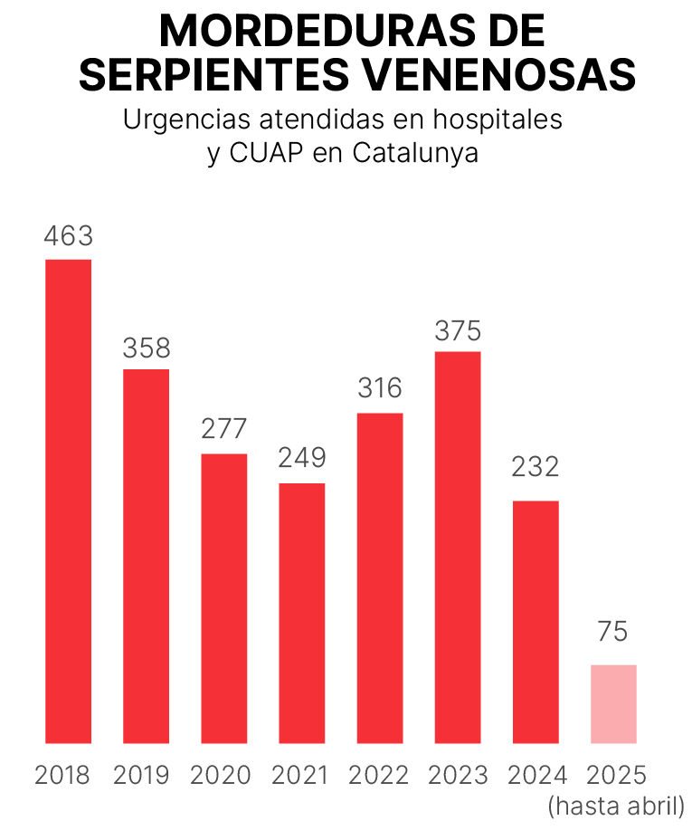 Imagen de urgencias