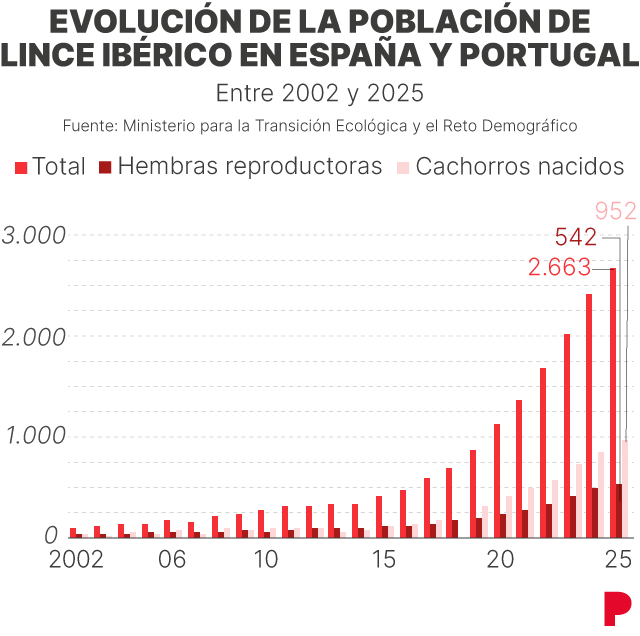 Evolución del lince ibérico