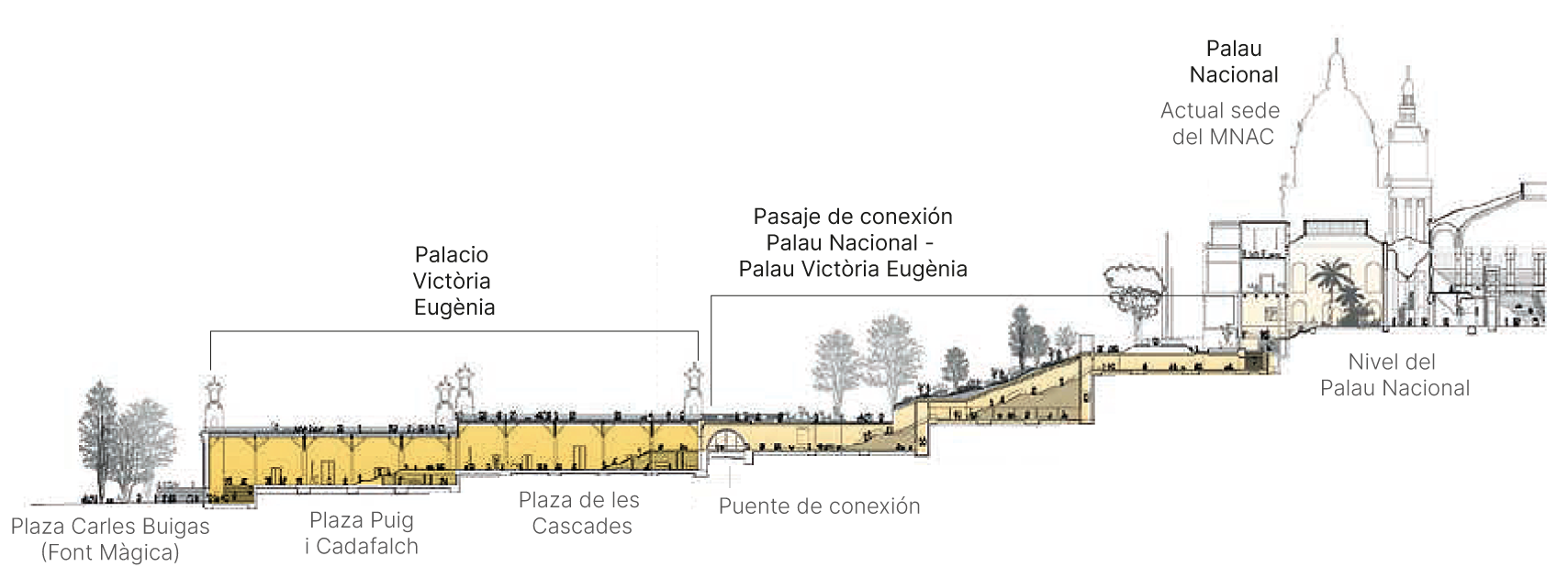 Descripción