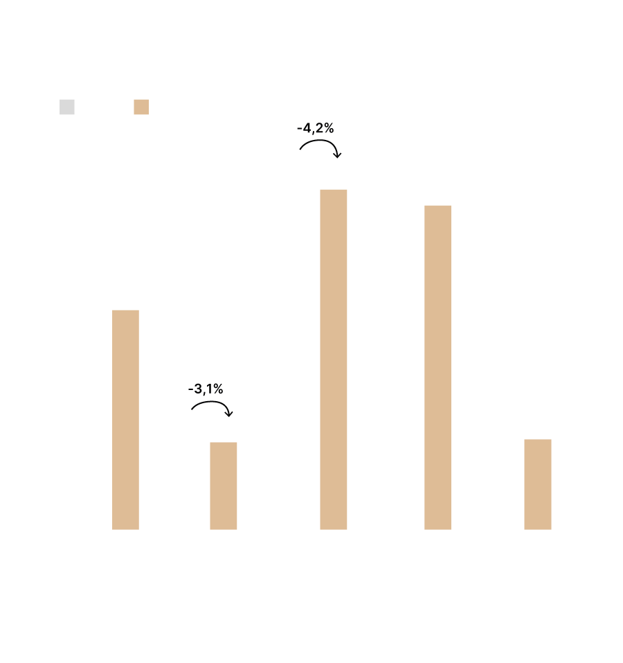 Descripción de la imagen