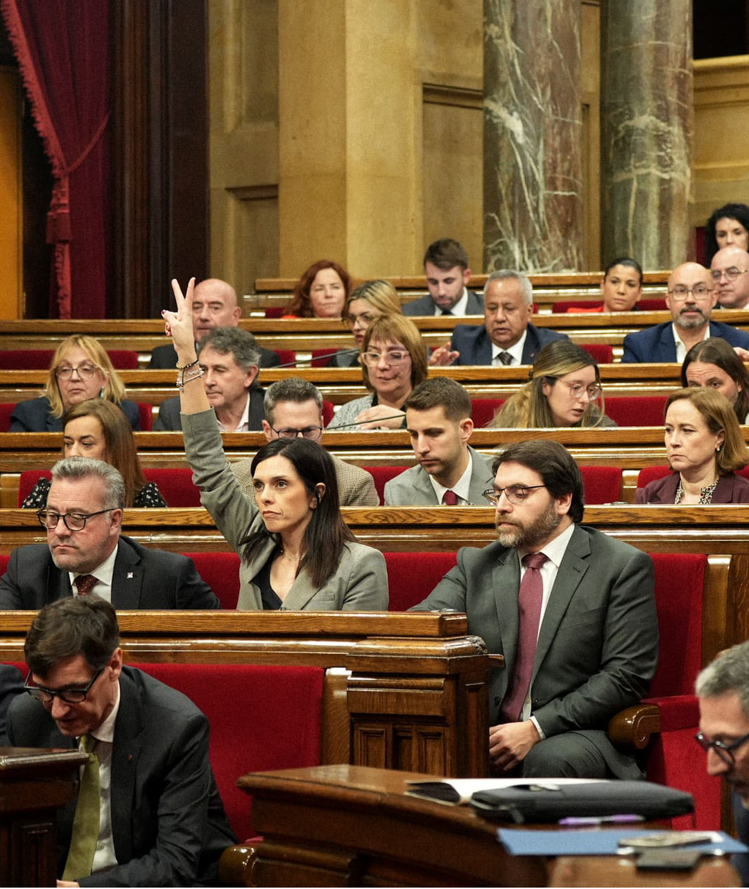 Descripción de la imagen